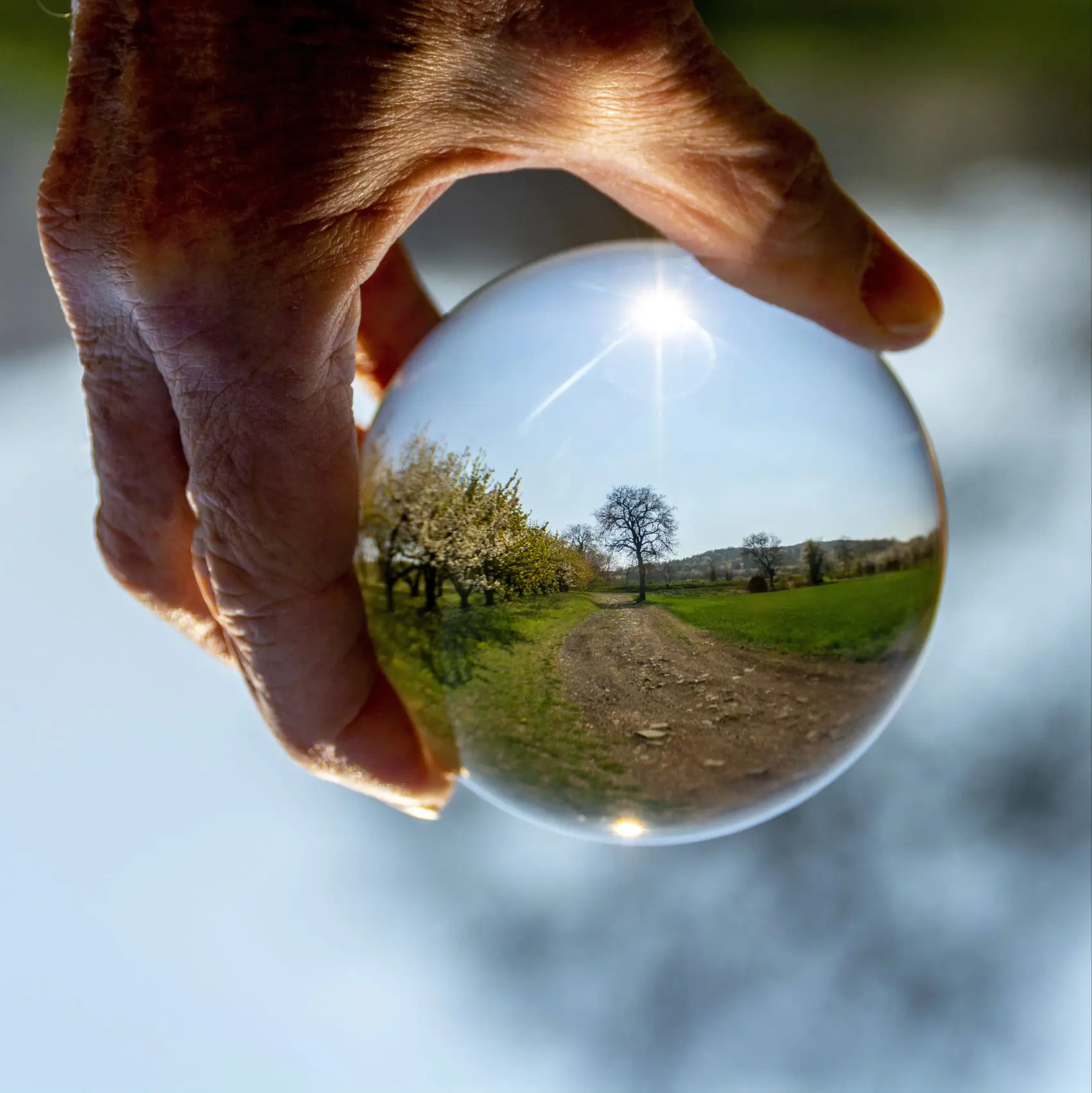 Adobe Express - file (1)